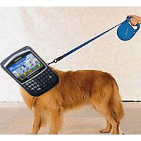 RIM MVS mobile voice system ties leash from desk phone to blackberry user