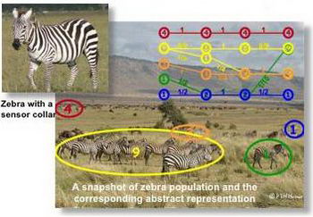 Tracking Zebras with GPS and mobile technology