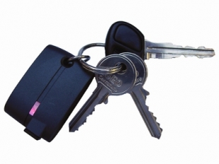 gpschipkeys.jpg