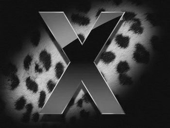 Leopard