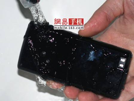 WP812 - pic 3