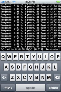 Native P2P torrent software hits iPhone