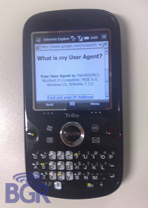 Palm Treo 800w