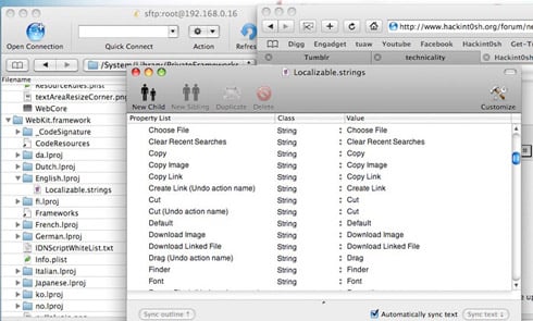 Apple iPhone SDK shows cut and paste functionality