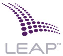Leap moves to block Alltel Verizon merger