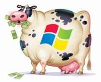 microsoft-cash