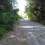 Outdoor landscape