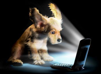 Fido launches 3G network