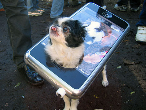iphone-halloween-custome-dog