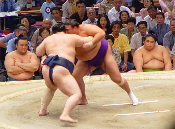 iPad finds its fans among fat-fingered sumo wrestlers in Japan