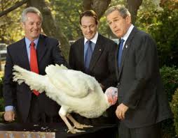 The Thanksgiving Turkey