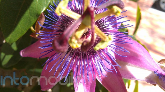 IMAG0017
