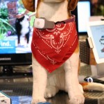 CES 2012 Qualcom