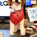 CES 2012 Qualcom