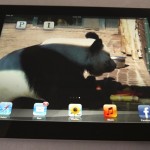 The new iPad review