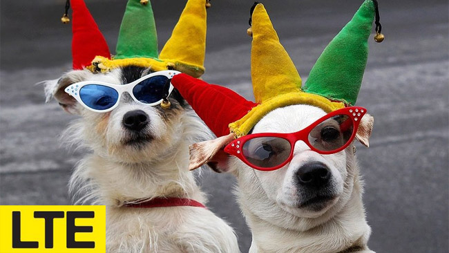 Canada's Fido launching its LTE network this summer