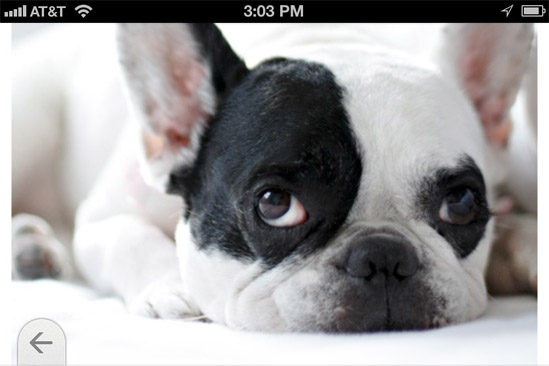 Dolphin Browser for iPhone gets a major update