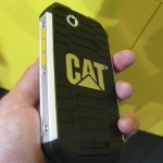 Cat B15