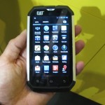 Cat B15