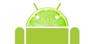 Android Key Lime Pie launching this spring?